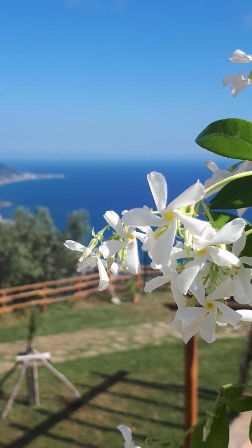 Tenuta Belvedere Cilento Montecorice Extérieur photo