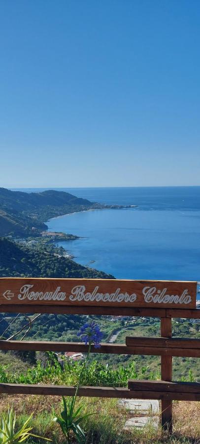 Tenuta Belvedere Cilento Montecorice Extérieur photo